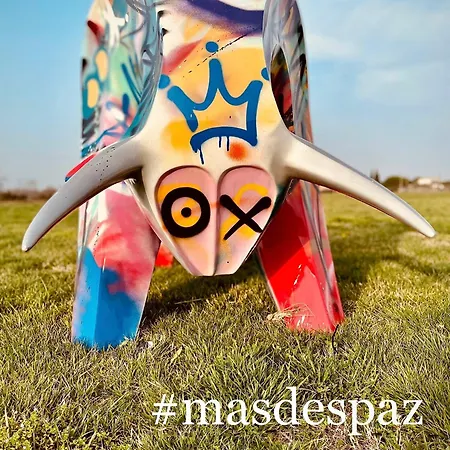 Mas Des Paz *